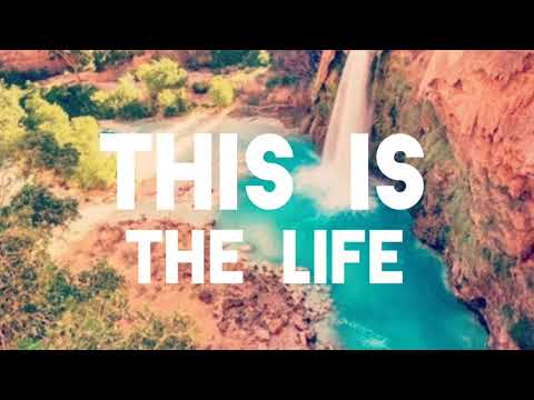 LITTLEKINGS & KALKOVICH - THIS IS THE LIFE