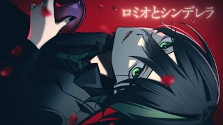 入りから切なさ増し増しで心臓掴まれちゃった( ; ; ) - 『 ロミオとシンデレラ 』/歌ってみた【しゆん】