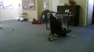 indoor street hockey