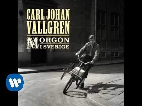 CARL JOHAN VALLGREN 