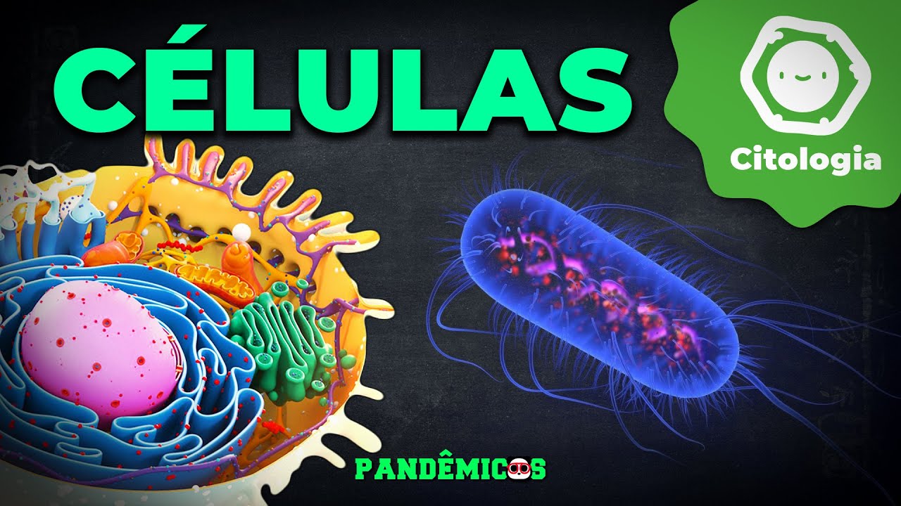 Células (História, Diferenças básicas)