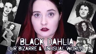 THE BLACK DAHLIA 🌸 || Our Bizarre & Unusual World Ep: 4 (Elizabeth Short)