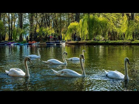 DRILON | NATIONAL PARK | POGRADEC | FRESH AIR | HAPPY WEEKEND