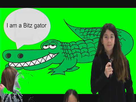 Bitz Gator News May 5, 2025