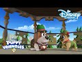 Puppy Vriendjes | Avonturen Liedjes! ? | Disney Channel NL