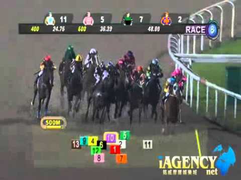 SINGAPORE RACE 29/11/2013 RACE 8 - iAgencyNet.com