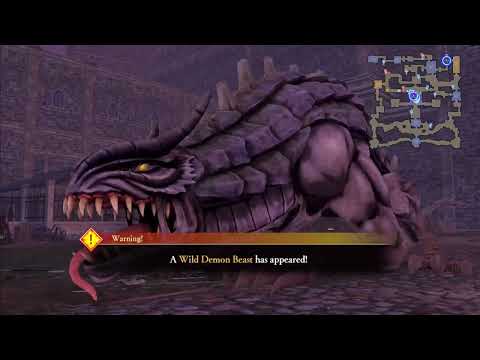 Fire Emblem Warriors Three Hopes - What NG+ Does to a Shez