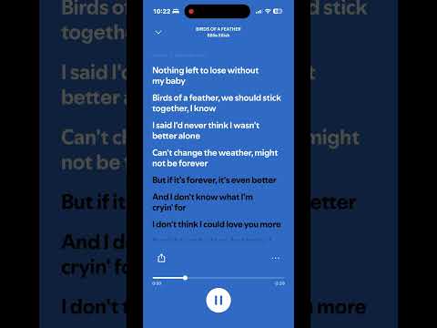 &lsquo;Birds of a Feather&rsquo; by Billie Eilish (lyrics)
