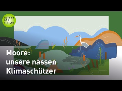 Das Moor erklärt: So schützen Moore unser Klima