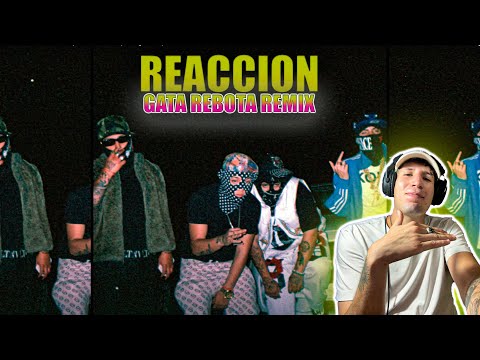 [REACCIÓN] GATA RETOBA REMIX - Fuka, Pablo Chill - e, Harry Nach, Marcianeke Prod.33lutos