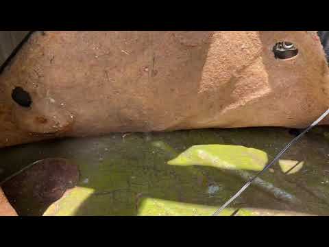 1976 Toyota Hilux (CC-1472761) for sale in Buford, Georgia