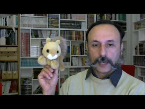 Ho bevuto una proteina e la potenza Cannabis potenza e