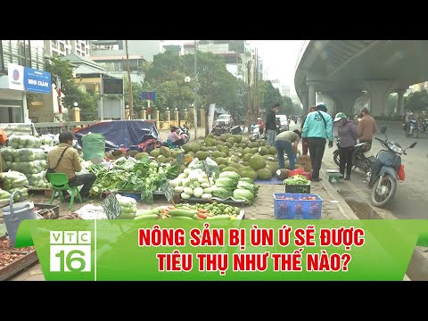 Nông sản xuất khẩu bị ùn ứ - hướng giải quyết như thế nào