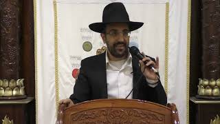 הרב מאיר אליהו   פרשת וירא   ביהכנ ס מאורות רפאל (בית הכנסת מוסאיוף) - התמונה מוצגת ישירות מתוך אתר האינטרנט יוטיוב. זכויות היוצרים בתמונה שייכות ליוצרה. קישור קרדיט למקור התוכן נמצא בתוך דף הסרטון