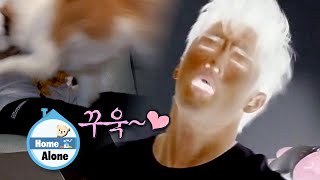 Download lagu Yang Hee is Happy After Crushing Sung Hoon's Future [Home Alone Ep 332] mp3