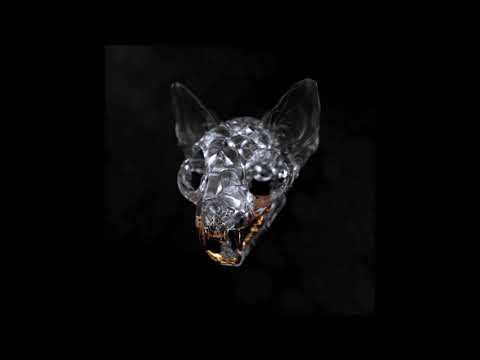 Darci - Play It Safe (Official Audio)