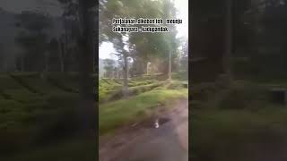 Download lagu perjalanan menuju Kadupandak cianjur selatan mp3