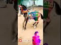 Chunni Mein Chunni Mein Ghodi Dance Viral Trending Shorts Video