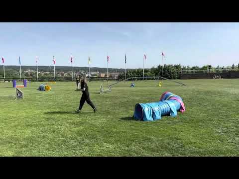 Zawody Agility na Zamku 2023, Figa (2x egzamin A1) & Kiwi (egzamin A2)