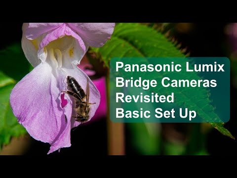 Panasonic Lumix Bridge Cameras Re-visited - Basic Set Up