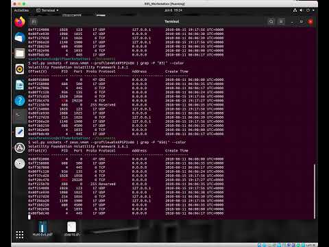 DFIR - ZEUS Malware Memory Analysis