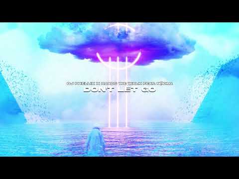 Dj Phellix, Roads We Walk feat. N@OM1 - Don't Let Go (Official Canvas Video)