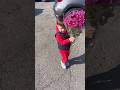 little boy brings flowers to his mother
