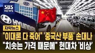"이대론 다 죽어" '중국산 부품' 손대나.."치솟는 가격 때문에" 현대차 '비상' (자막뉴스) / SBS
