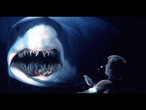 Deep Blue Sea Director Renny Harlin Is Making a New Shark Attack Horror Movie!