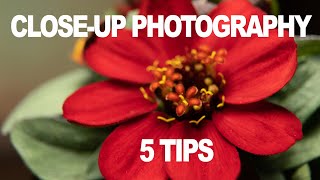 5 CLOSE-UP PHOTOGRAPHY TIPS