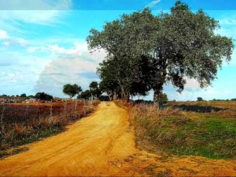 António Pinto Basto e José Gonçalez - Mestre Alentejano 2