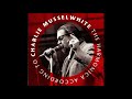 Charlie Musselwhite  - Blues all night