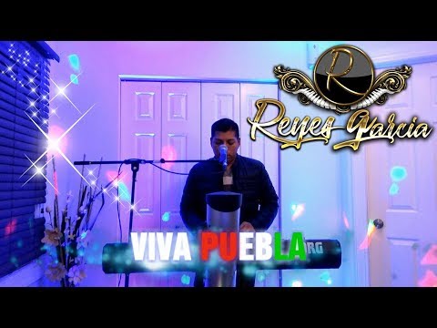 Tecladista Reyes Garcia tocando cumbias Sonideras contrataciones 773 603 7067