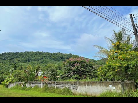 Almost 2 Ngan Land Plot with Stunning Mountain View for Sale in Nong Thaley, Krabi