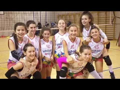 Pallavolo Antares: una storia di grandi successi.