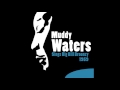 Muddy Waters - I Done Got Wise