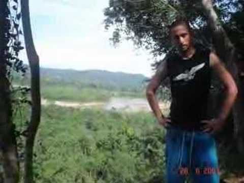 welcome 2 the jungle