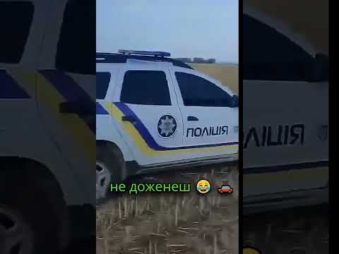 На українських полях 😱
