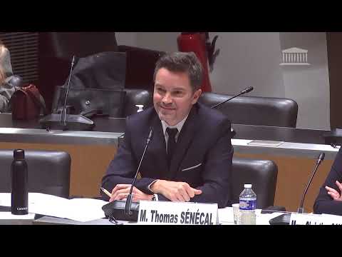 29/02/2024 Questions des députés (Audition Canal+, Canal+ Sport, Canal+ Cinéma(s) et Planète+) (3...