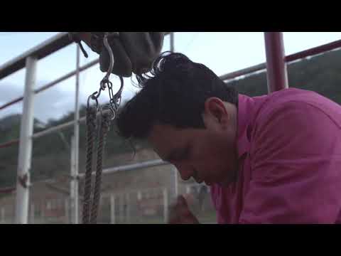 Toro Cacho Candela" de Luis Lozada "El Cubiro" ARRASA en Venezuela! 🇻🇪