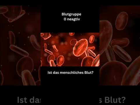 BLUTGRUPPE 0 Negativ – DIE UNTERSCHÄTZTE URKRAFT