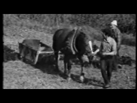 Echi di antichi mestieri