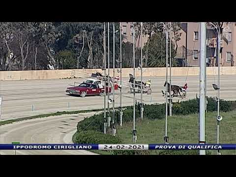Aversa trotto 24 Febbraio 2021 - Prova di qualifica