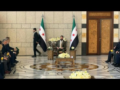 Video | UN Security Council delegation meets with Syrian president | AFP