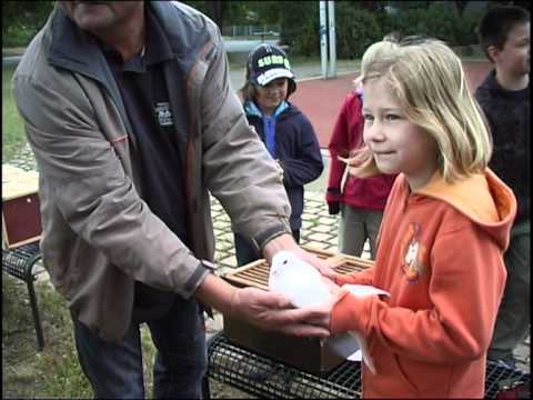 Abschluss: Kinderuni in Hoyerswerda - ELSTERWELLE
