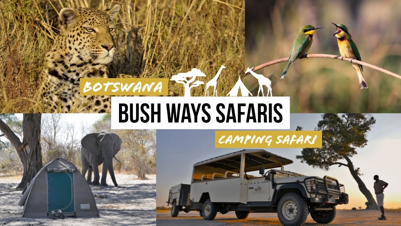 Abenteuer Wildnis: Auf Camping-Safari in Botswana