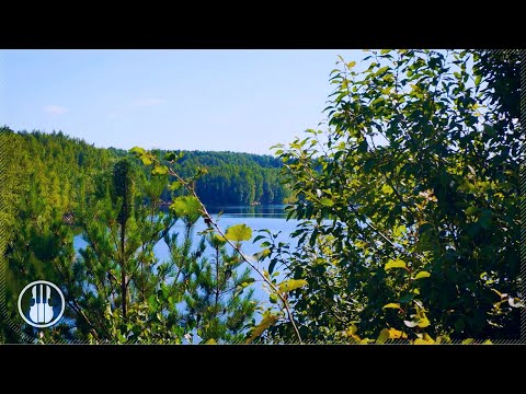 Sommerliches Seeufer-Ambiente. Grillen und Vogelgezwitscher. Entspannende Klänge der Natur.