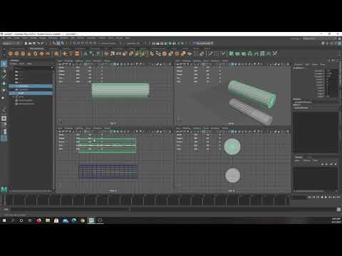 Rigging Concept w Cylinder