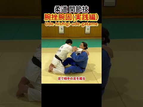 【乱取りで関節技を極める！】腕挫腕固を乱取りで極める方法を紹介します！　#柔道 #judo #寝技 #腕挫腕固 #腕ひしぎ腕固 #関節技 #引き込み #shorts