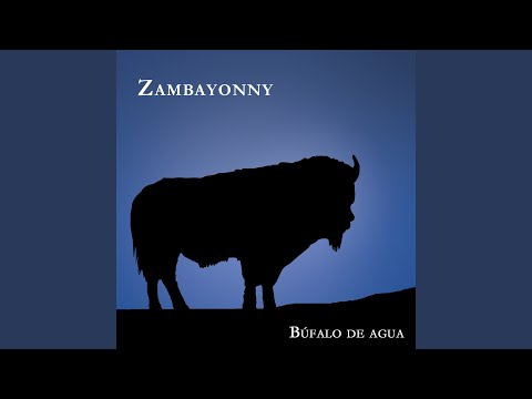 Luismi - Zambayonny